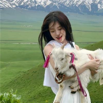 爱情无政府