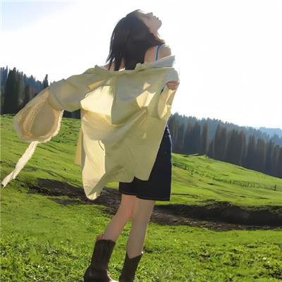阿尔迪克