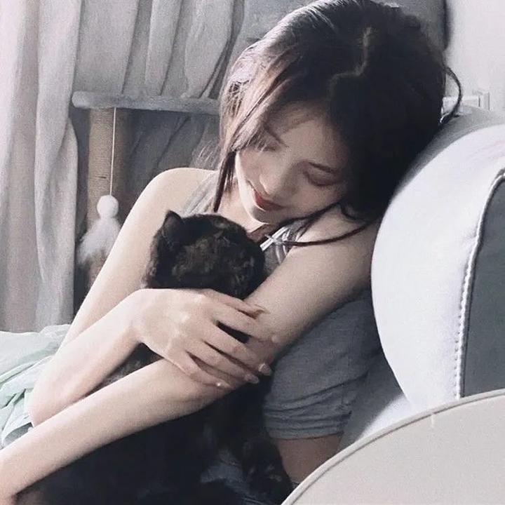 红尾鸽