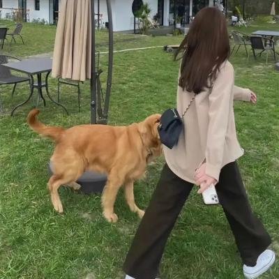 廿一世纪生死恋